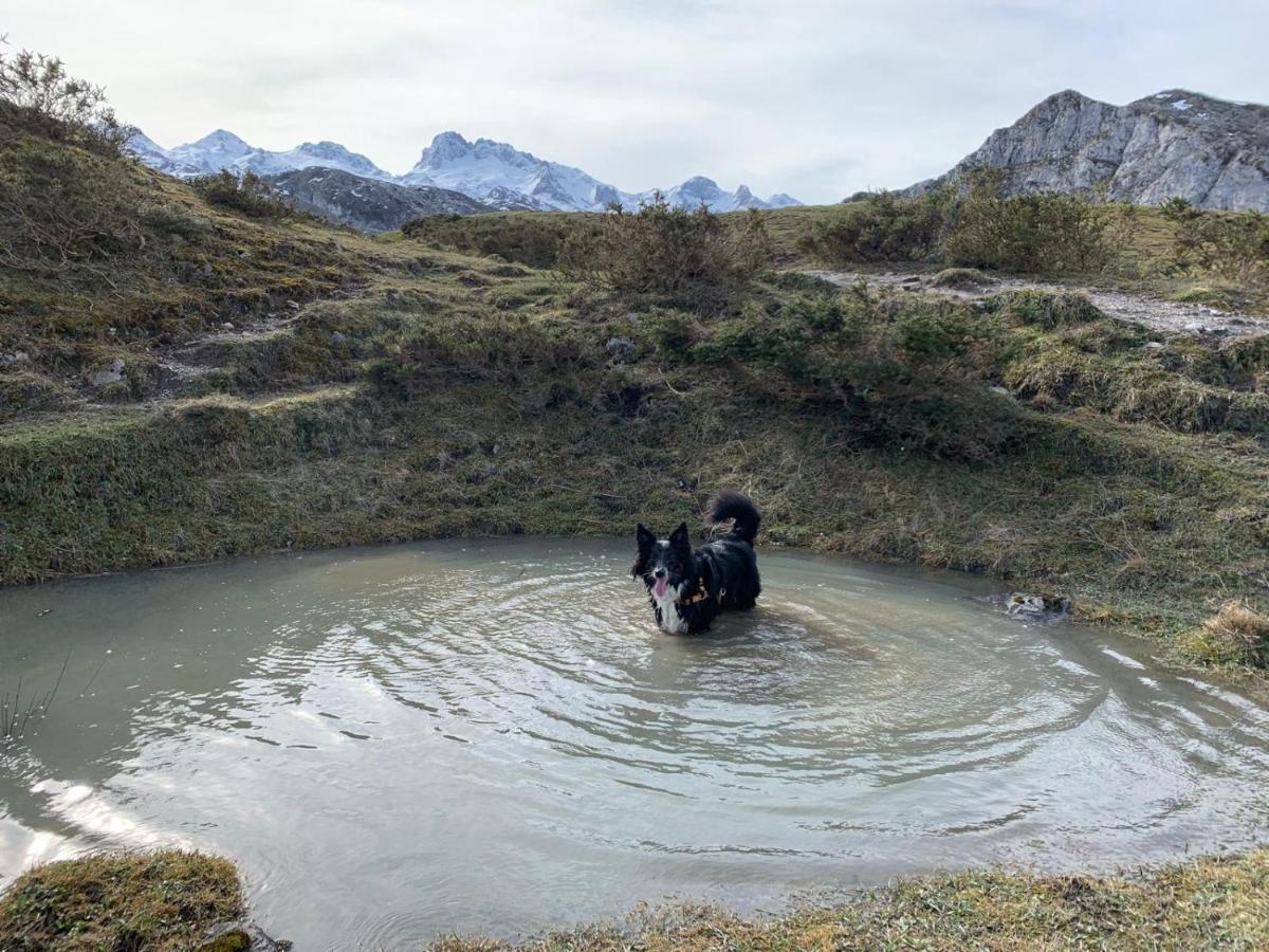 El Portiellu Lägenhet Cabielles Exteriör bild
